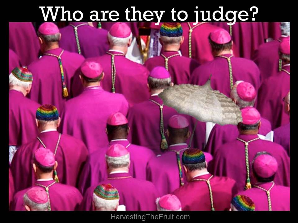 Synod - who are they to judge