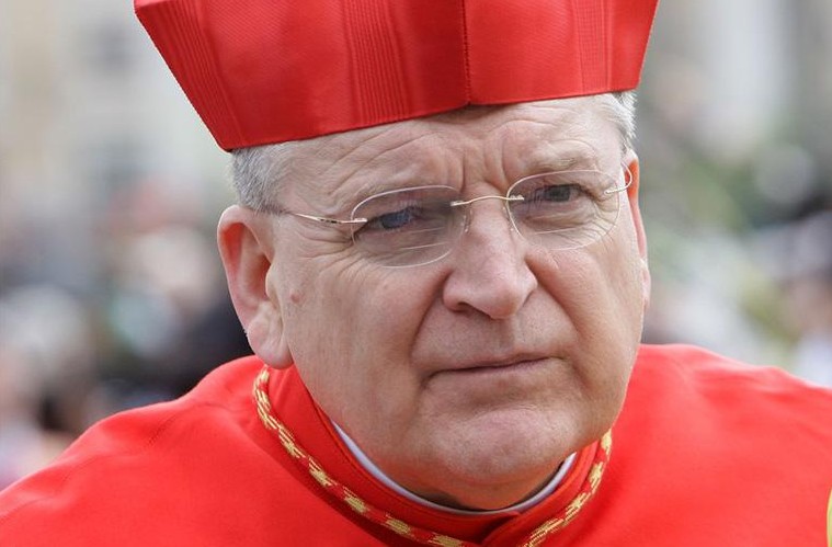 Cardinal Burke palm