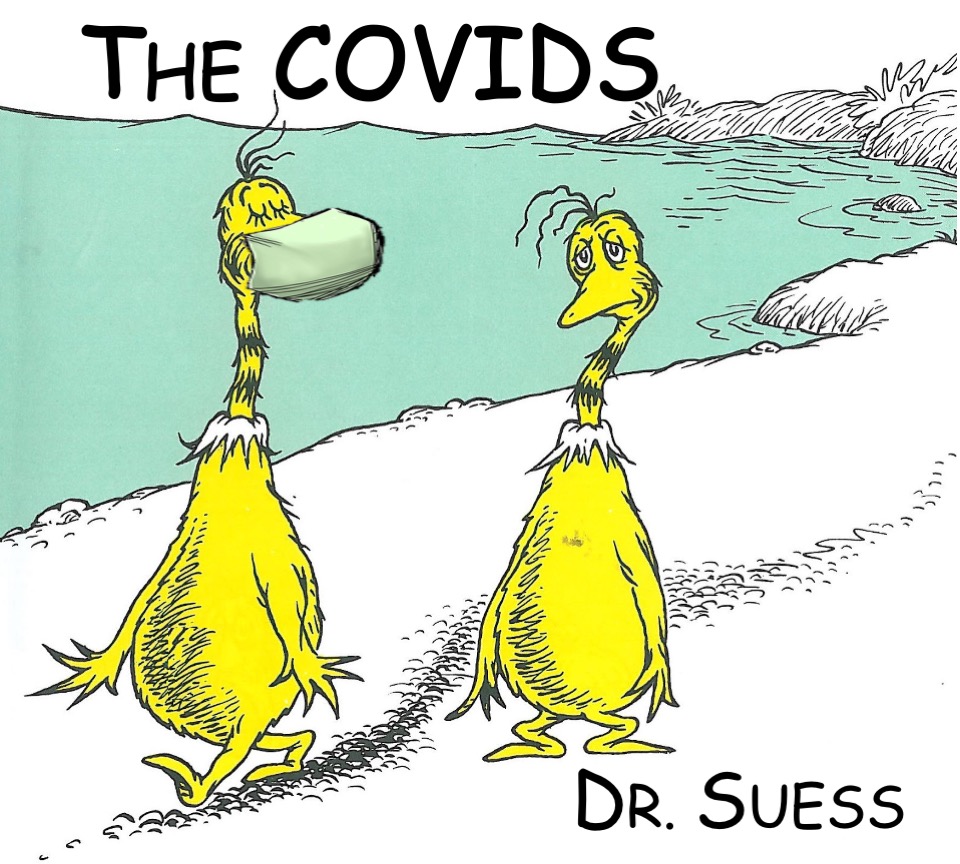 COVIDS by SUESS